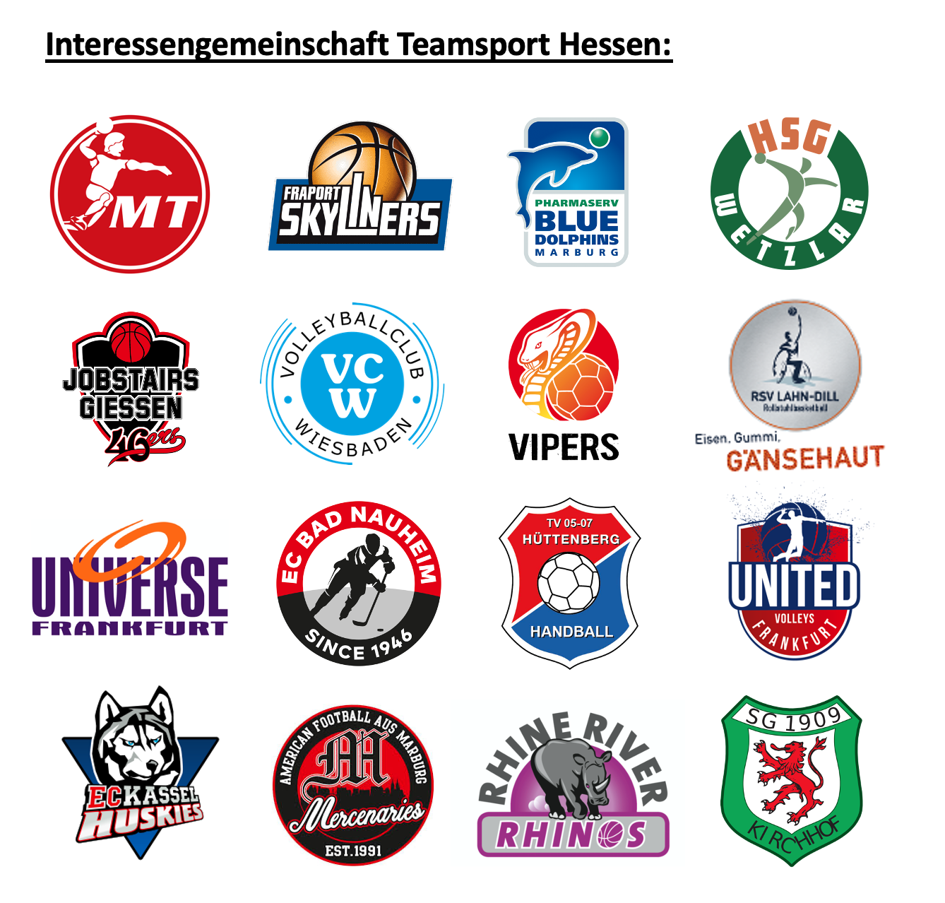 Profi-Clubs halten zusammen – Interessengemeinschaft Teamsport Hessen mit den Marburg Mercenaries 